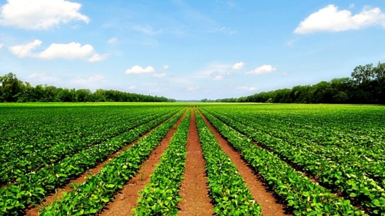 Agricultural Lands